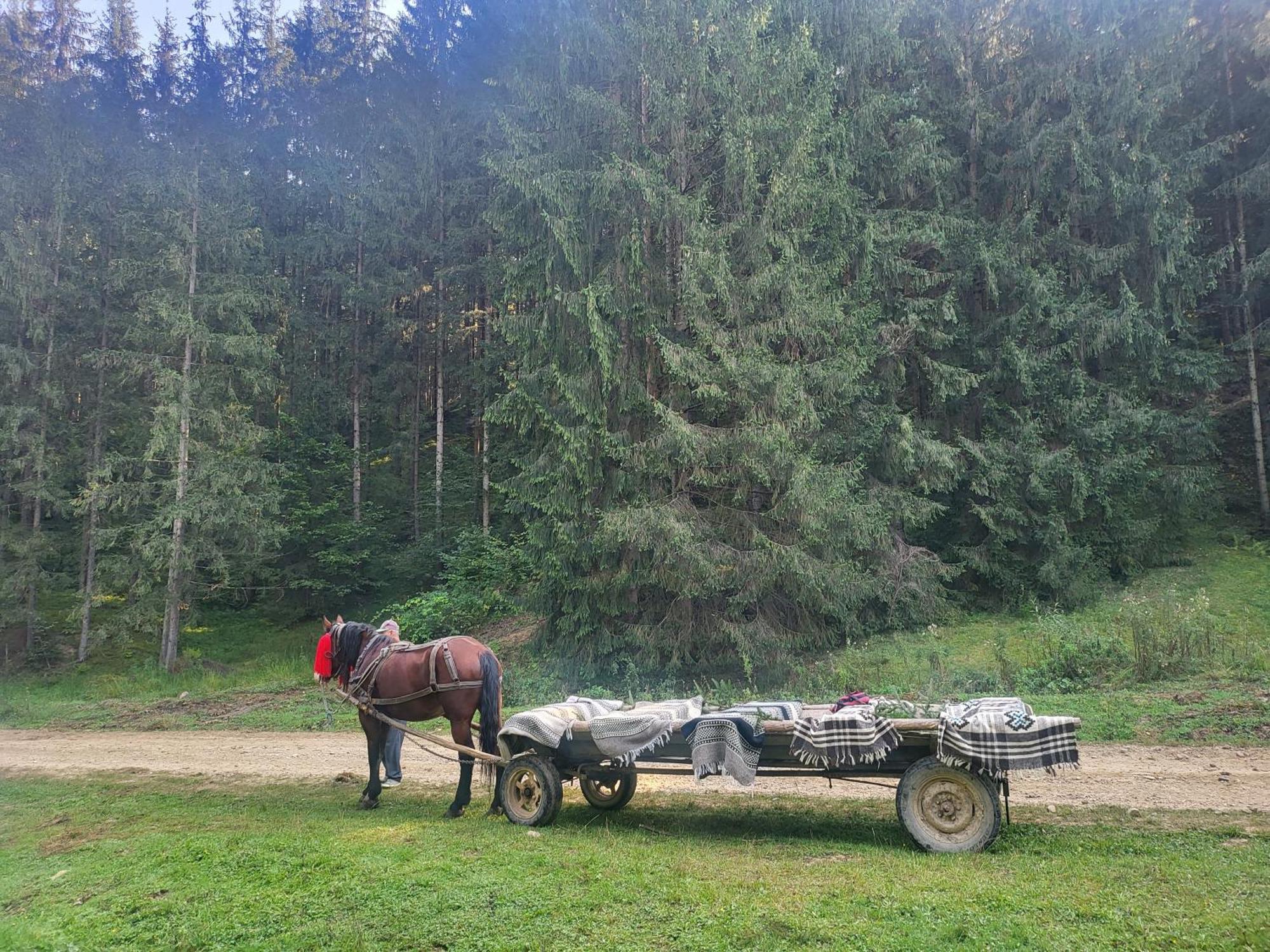 Soimii Bucovinei Residence Vatra Moldoviţei Dış mekan fotoğraf